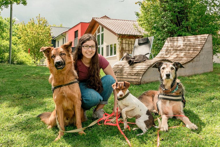 A garota senta-se com três cachorros em um prado.